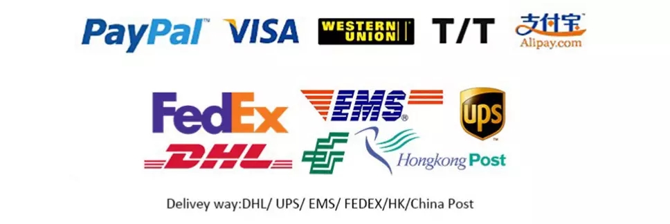 Shipping Logistics Details