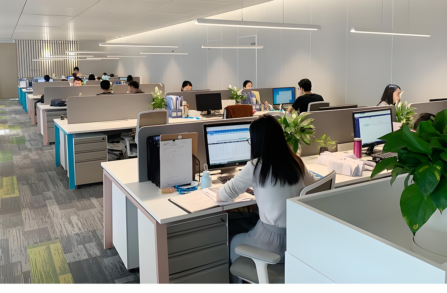 Company Showcase 2