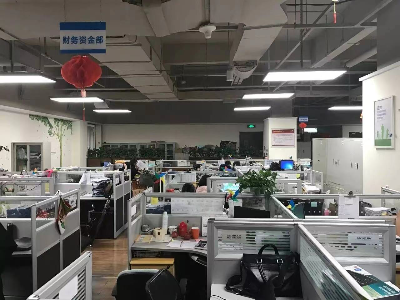 Company Office 1