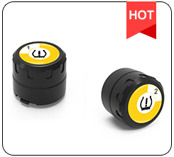 BLE TPMS (V101M)