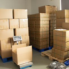 Shipping Area