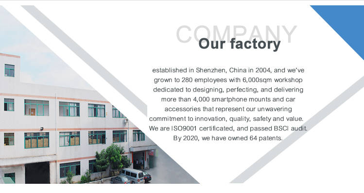 Company Profile Details 1