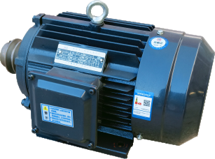 Frequency conversion motor