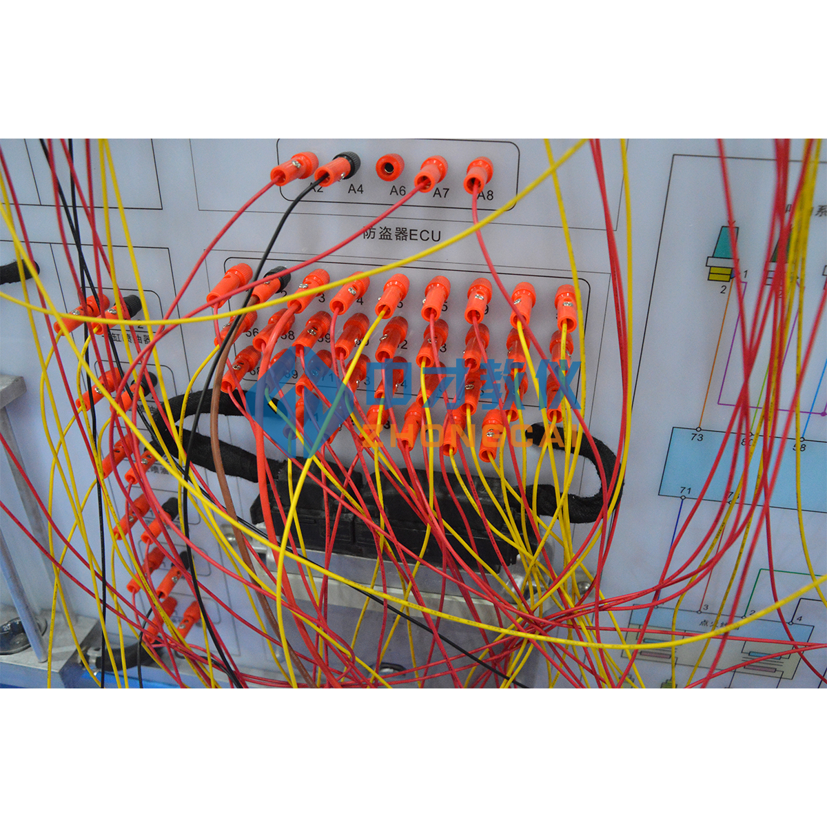 Automotive Education Equipment Engine Sensor Actuator System Training Platform Automotive Electrical System Trainer