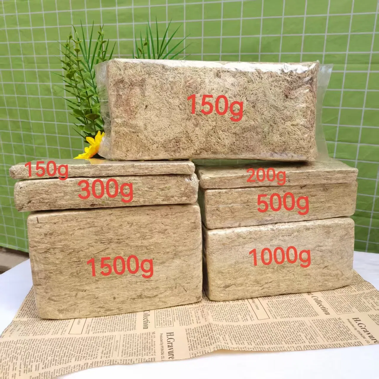 Cheap Sphagnum Moss for Seed Starting, Bulk Quantity From Reliable Factory