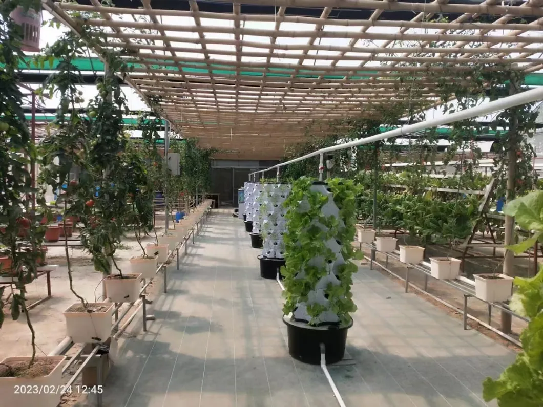 Hydroponic System Base