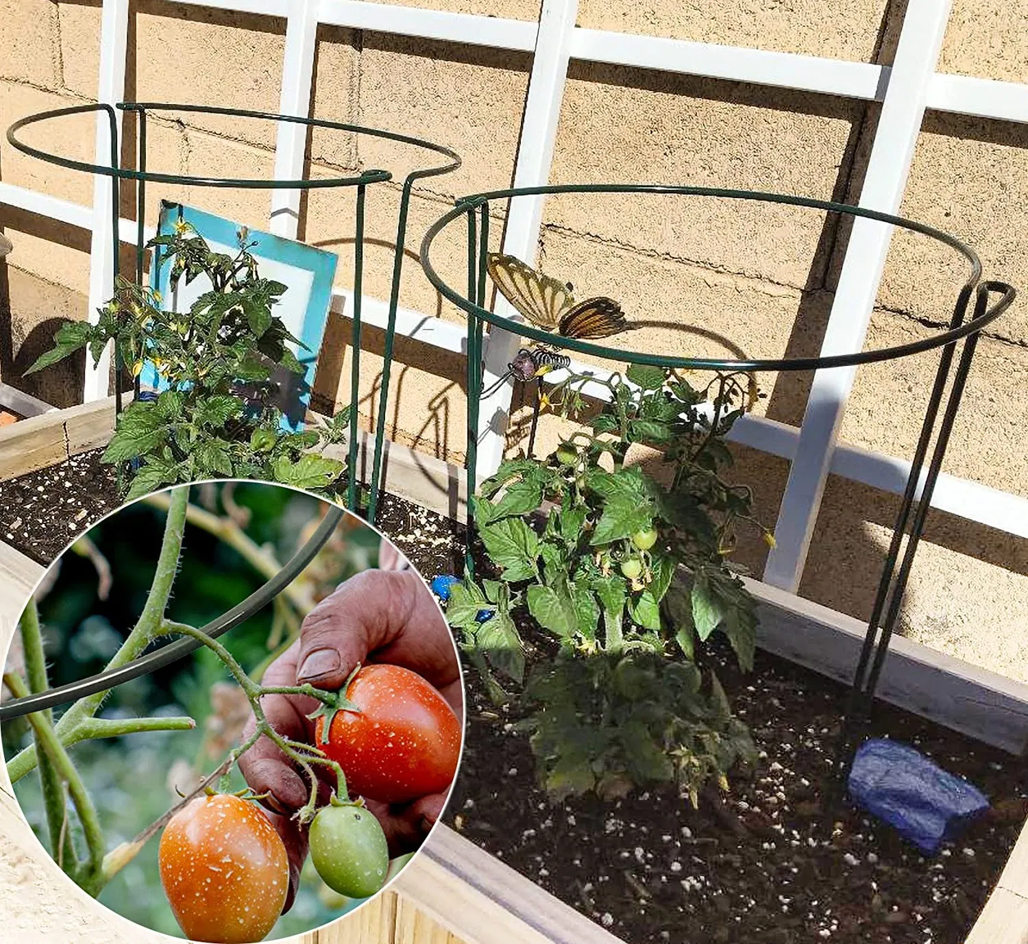 Hot Selling Metal Wire Hoop Plant Support Stakes Half Round Green Garden Plant Supports Ring for Flower Vegetables