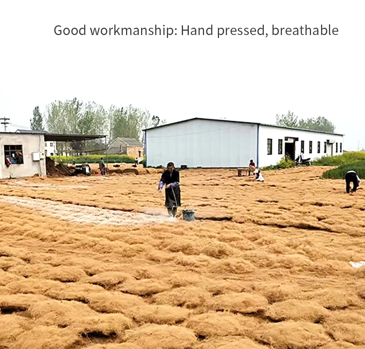 Plant Support Detail 2