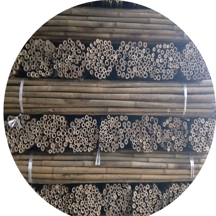 Tonkin Bamboo Stakes Garden Flower Plant Natural Tree Support