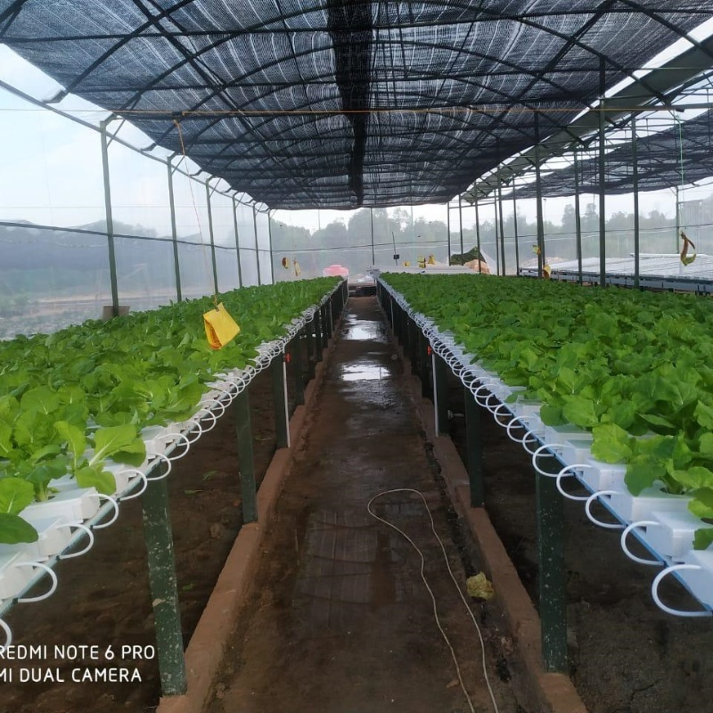 Soilless Cultivation Solutions Water-Based Plant Cultivation Hydroponic Gardening Kits