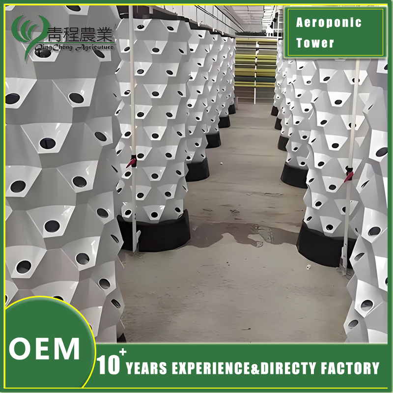 Urban Hydroponic Pineapple Growing Kit for Indoor Gardens