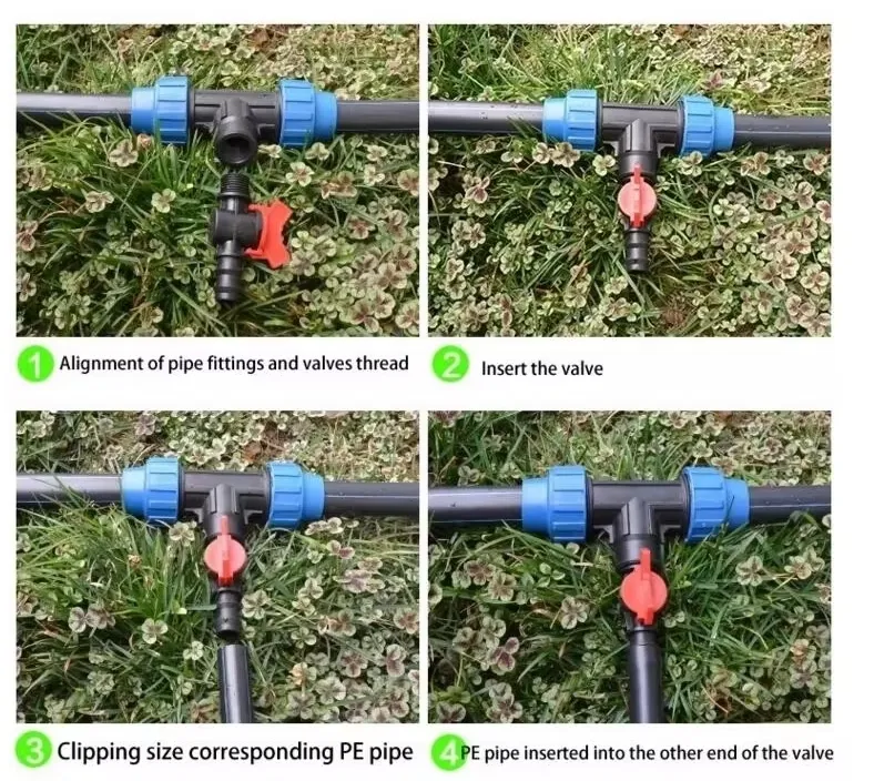 Watering Process