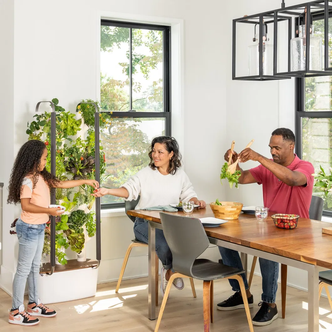 Vertical Garden Features