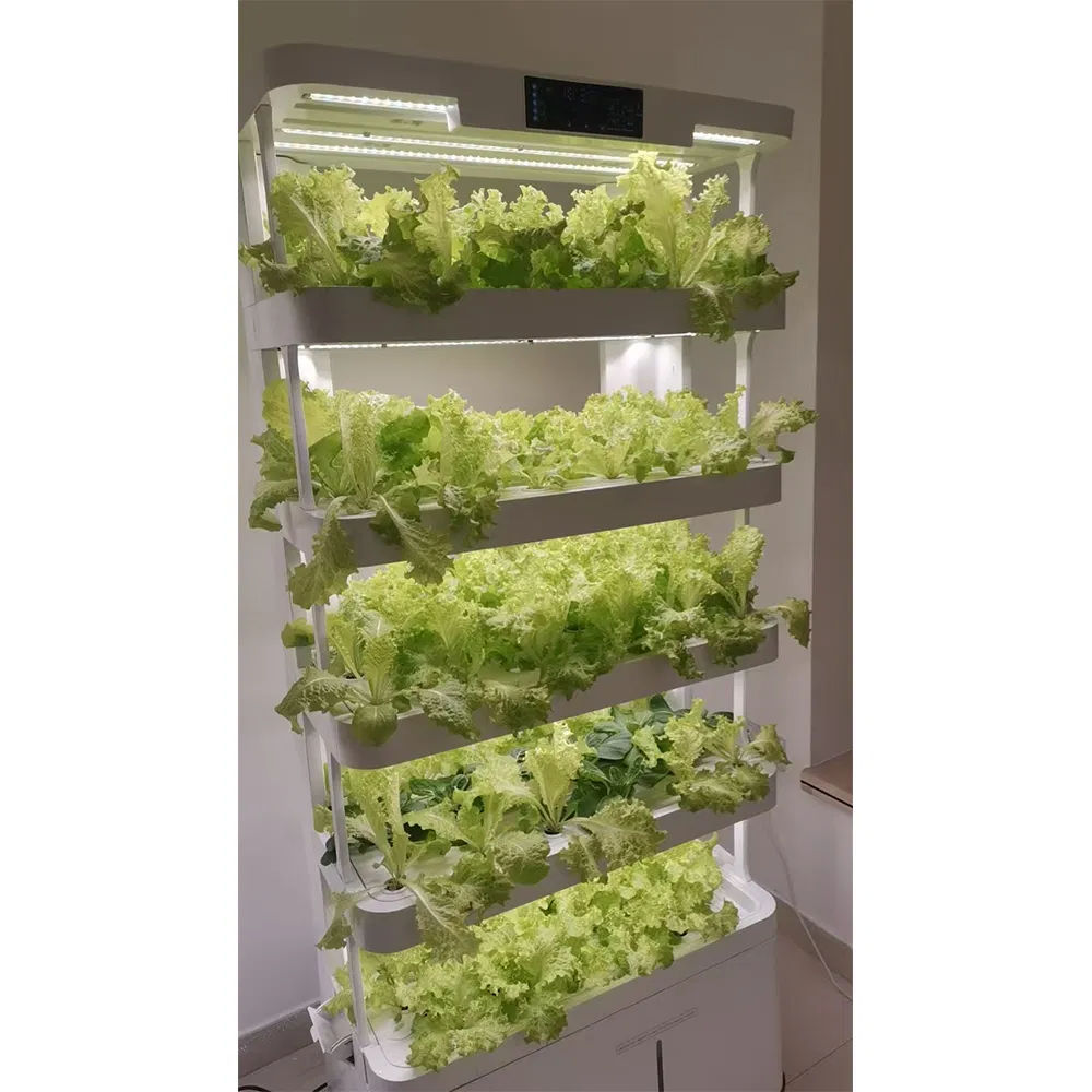 Hydroponic Indoor Farm Kit