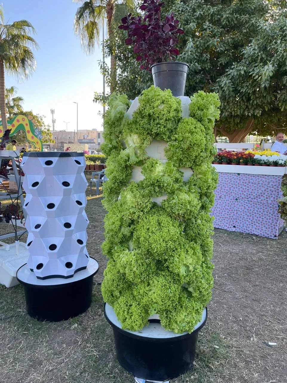 Indoor Hydroponic Garden Kit with LED Grow Light and Efficient Water Circulation