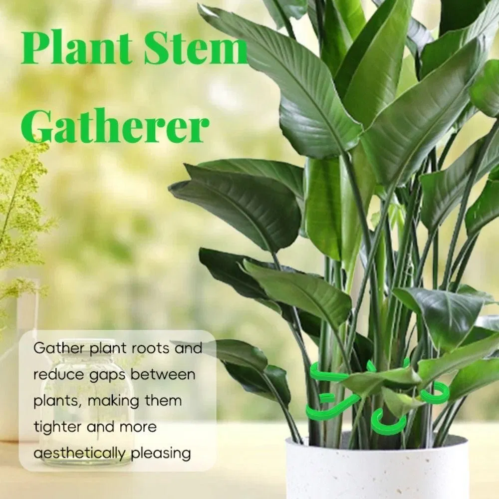 Reusable Plant Stem Folding Frame Garden Tools No Stake Trellis Plant Stem Support Support Branches Stem Organizer
