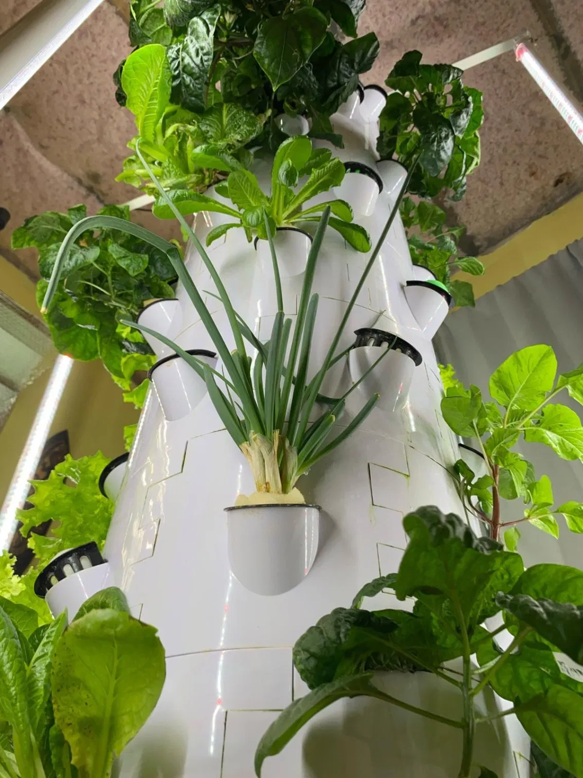 Hydroponic Grow Kit with Film Greenhouse Compatibility and Water Saving Design