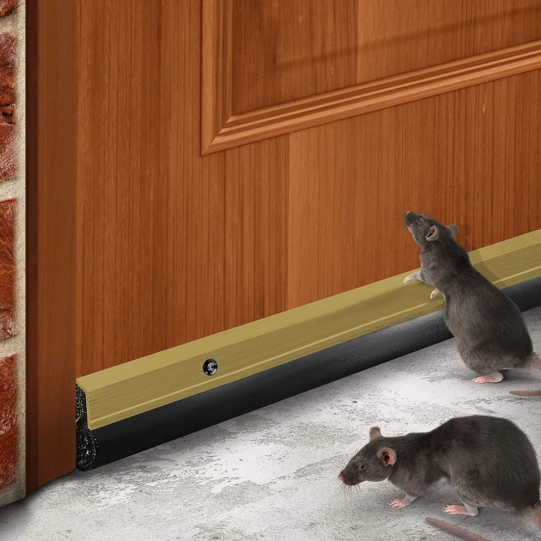 Pest Control Door Sweep