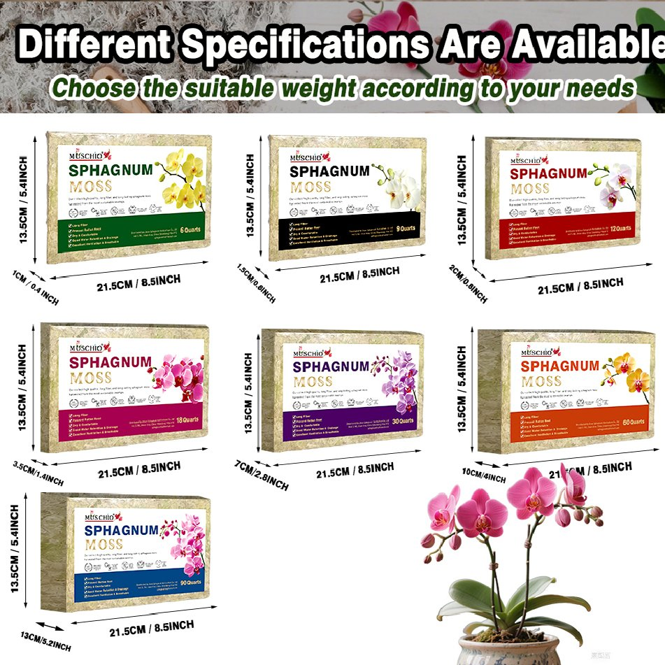 Cheap Sphagnum Moss for Seed Starting, Bulk Quantity From Reliable Factory