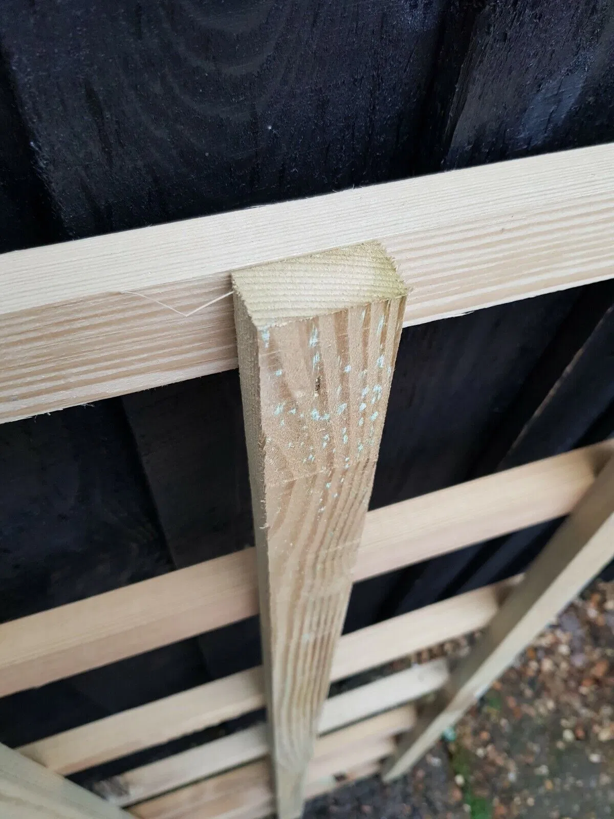 Fan Trellis Garden Treated Timber Plant Support 4FT X 1FT