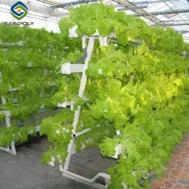 Hydroponic system