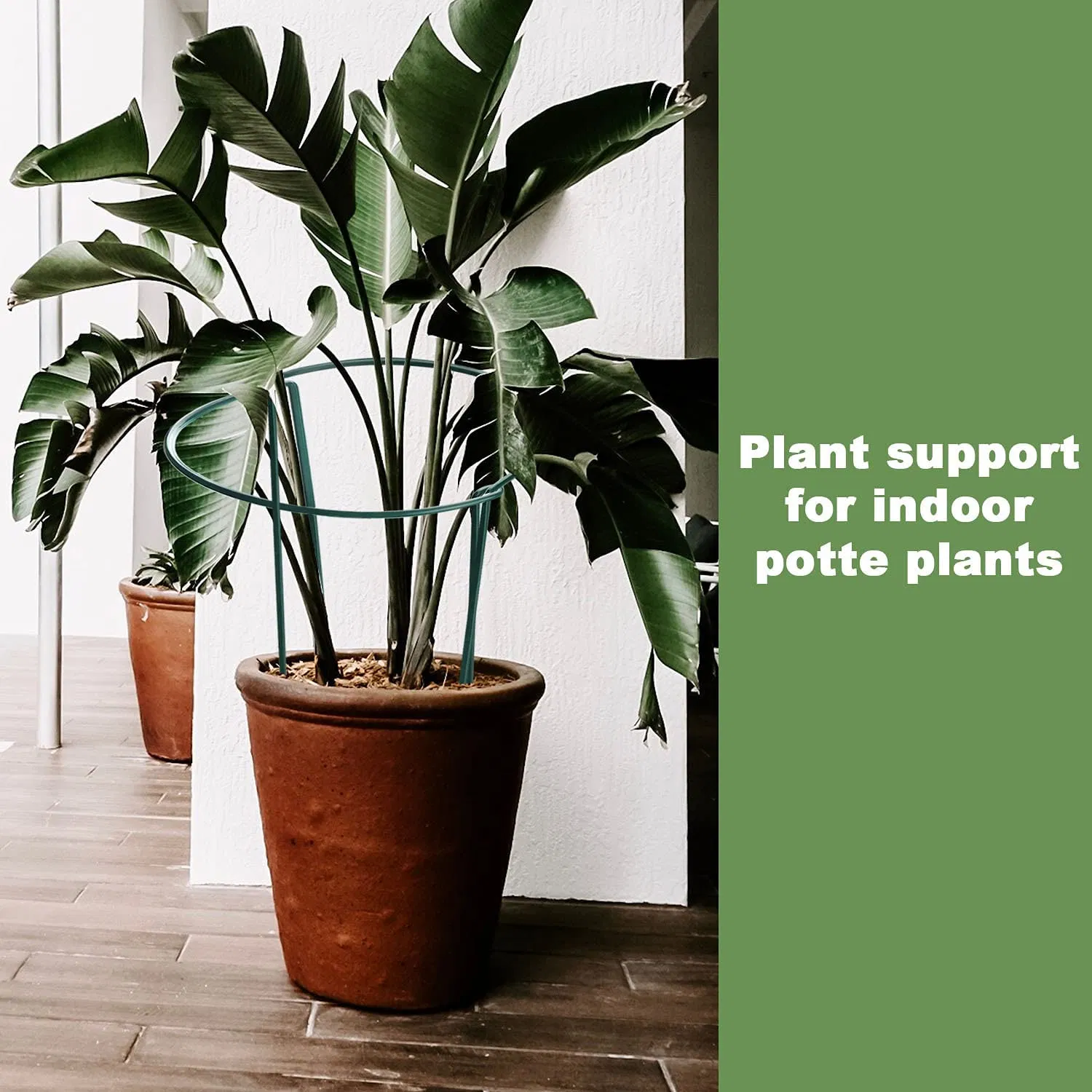 Plant Support Stake, Metal Garden Plant Stake, Green Half Round Plant Support Ring, Plant Cage, Plant Support for Tomato, Rose, Vine