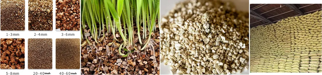 Applications Overview