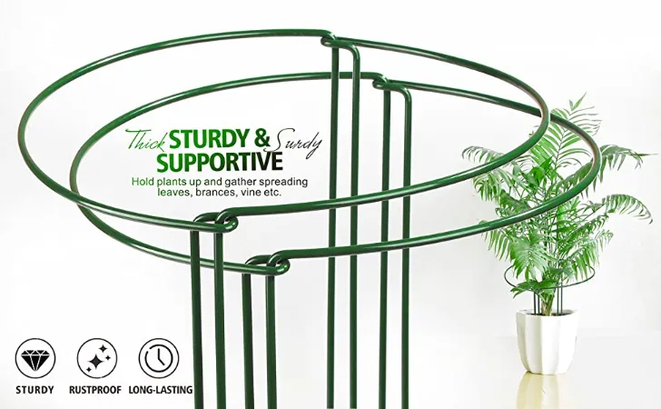 Metal Garden Support Stake Ring