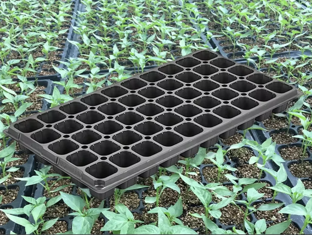 Seedling Tray Detail 15