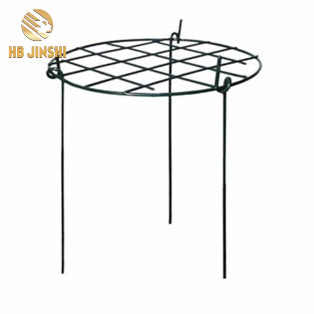 Metal Wire Garden Plant Support