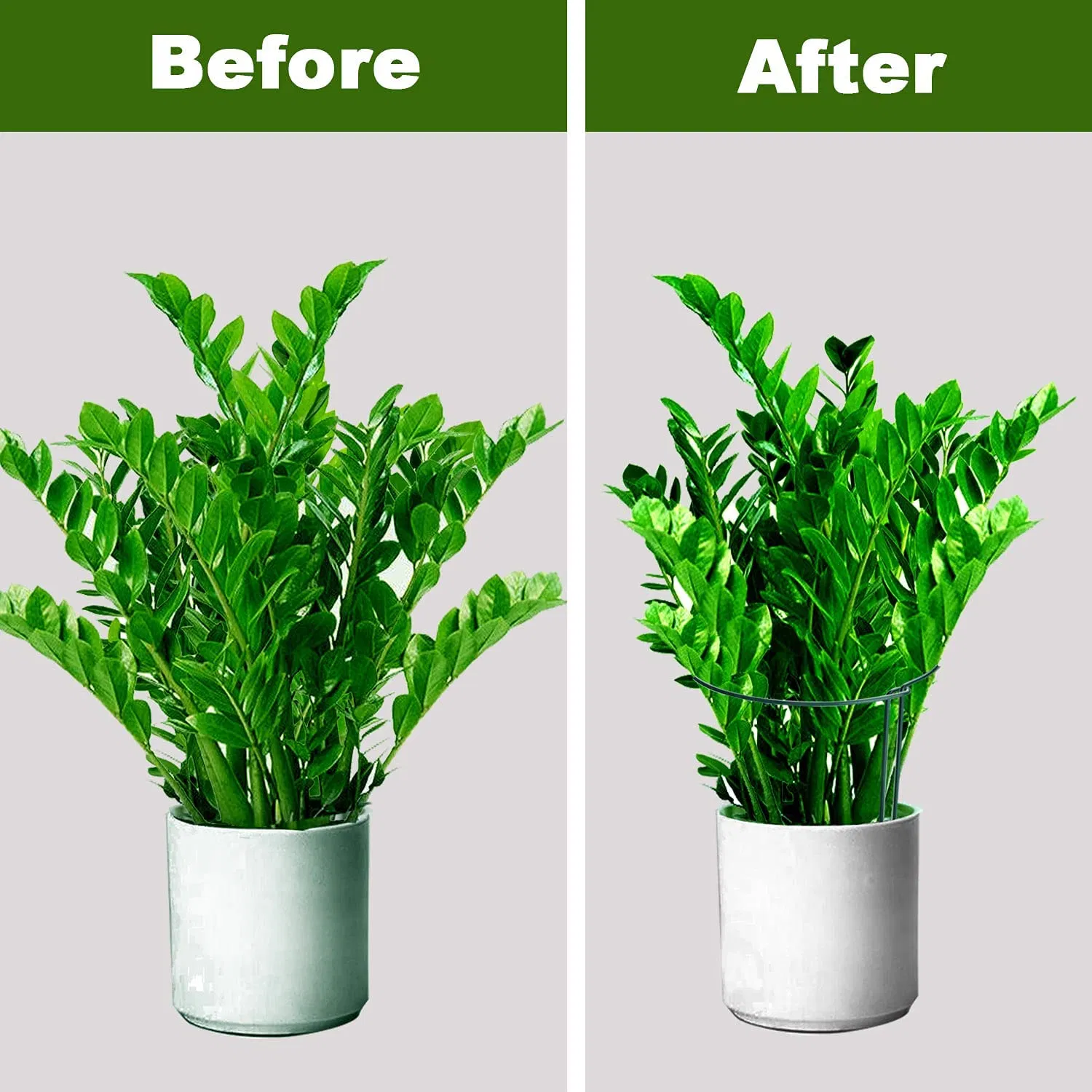 Hot Selling Metal Wire Hoop Plant Support Stakes Half Round Green Garden Plant Supports Ring for Flower Vegetables