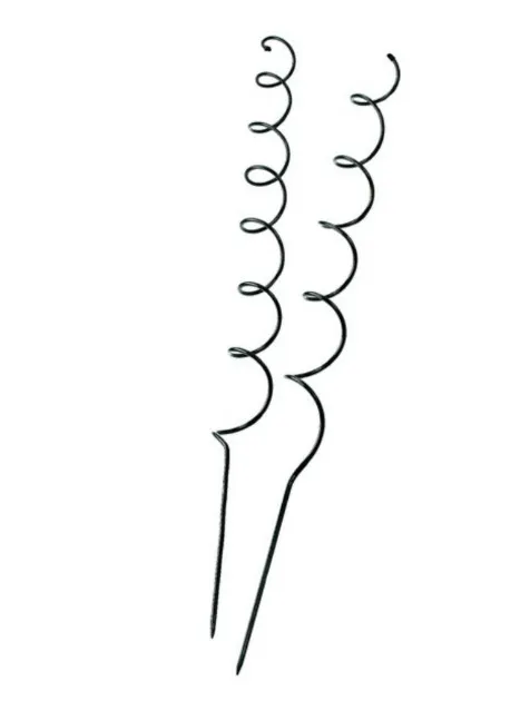 Tomato Spiral Plant Support