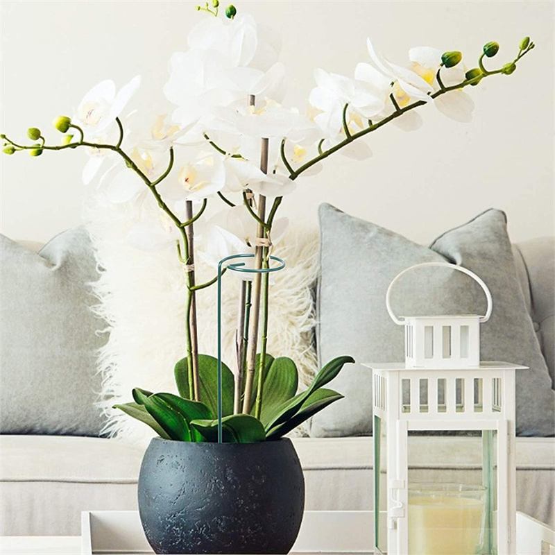 Metal Plant Surpport Flower Plant Stem Support Plastic Coated Support