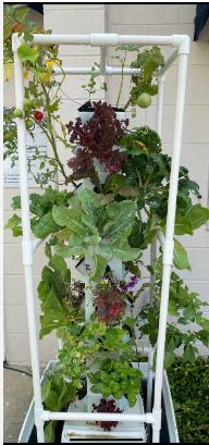 Wholesale Household Cheap Vertical Tower Hydroponic Gardening Indoor Growing Kit China Manufacturer