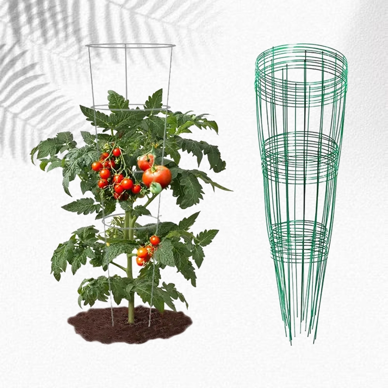 Sturdy Adjustable Metal Plant Support for Climbing Vines