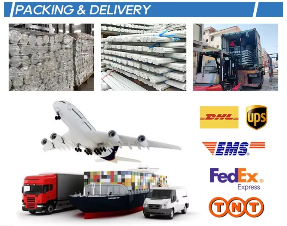 Shipping Logistics