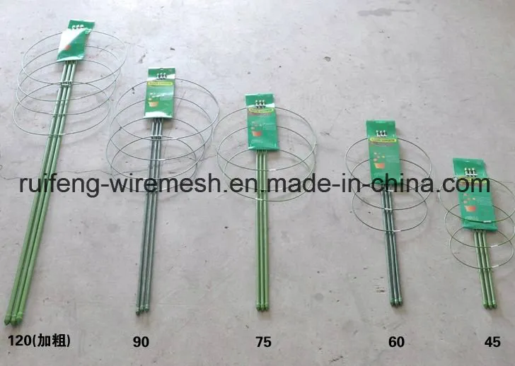 Tall Flowers and Single Stem Plant Supports