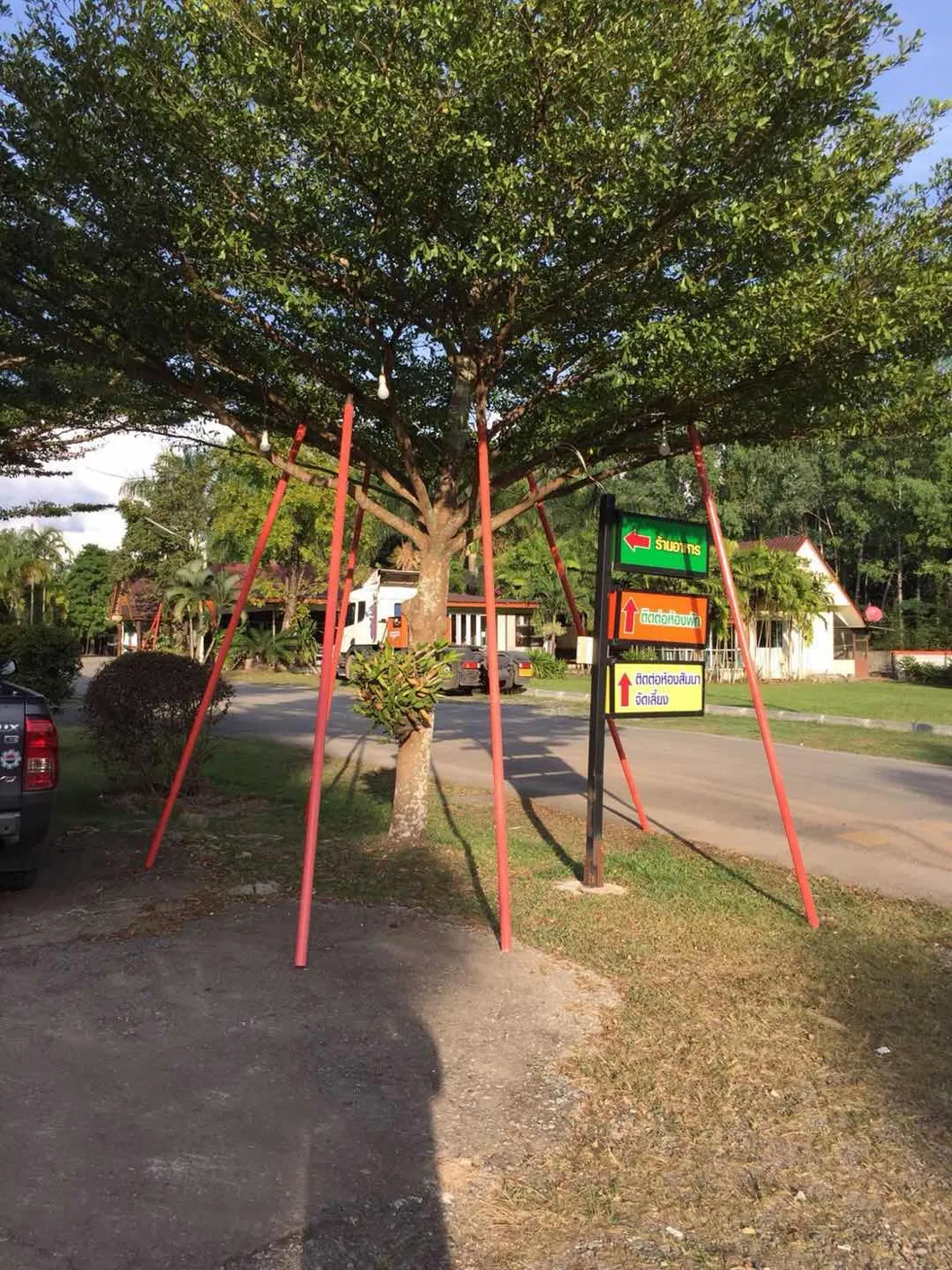 Colorful Plant Support