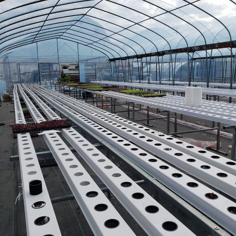 Indoor Greenhouse Farming Vertical Hydroponic Gardening Nft Hydroponic Kits 10X5cm