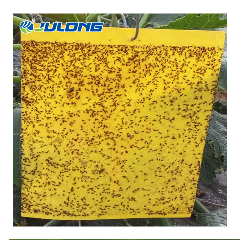 Yellow Sticky Insect Fly Glue Traps Board Pest Control Double Sides