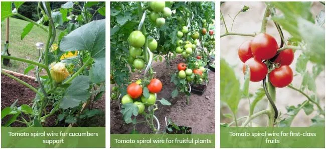 Heavy-Duty 6.0mm Galvanized Steel Tomato Support Rod 150cm