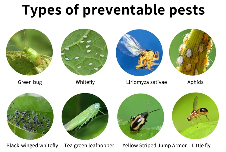 Disposable Pest Control