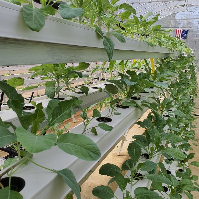 Water Culture Vertical Hydroponic Gardening Nft Hydroponic Kit