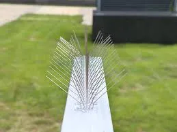 Bird Spike Variation 1