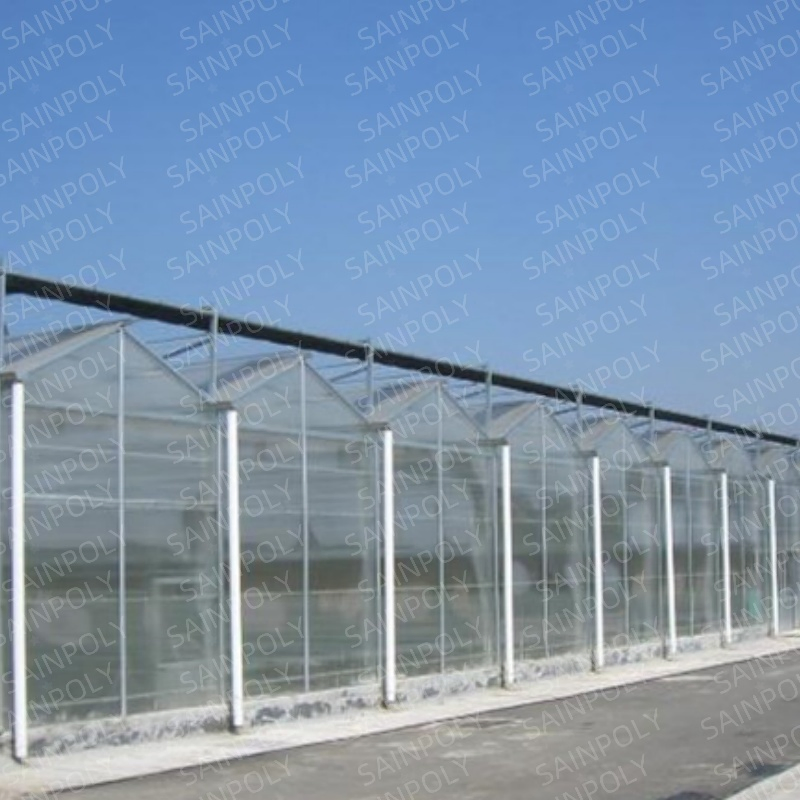 Greenhouse with Irrigation Systemmanufacturer Covered with Polycarbonate Sheet