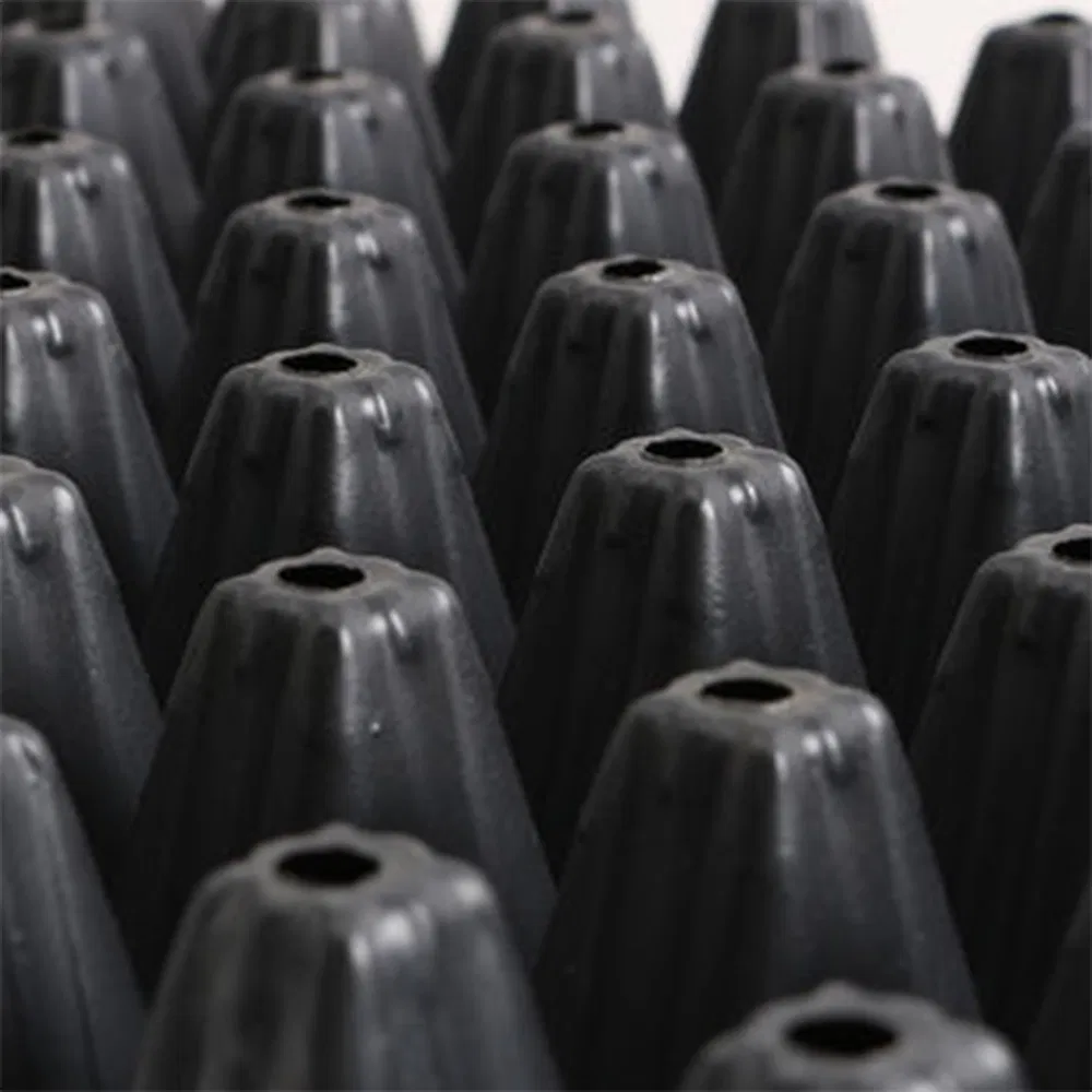 Seedling Tray Photo 9