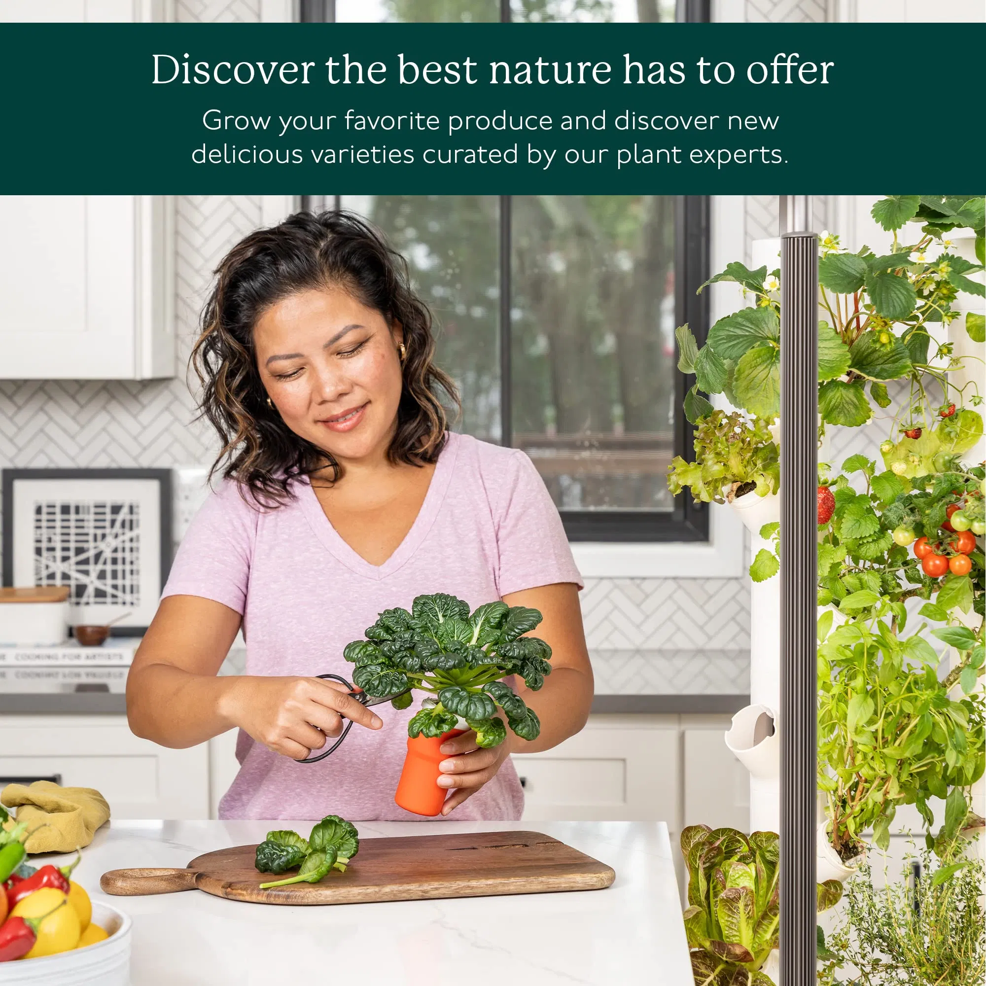 OEM Vertical Garden Planter Non-GMO Indoor Herbs Vegetables Hydroponics Growing System Kit for Your Home