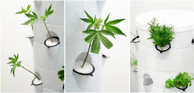 Indoor Balcony Mini Growing Tower Kit