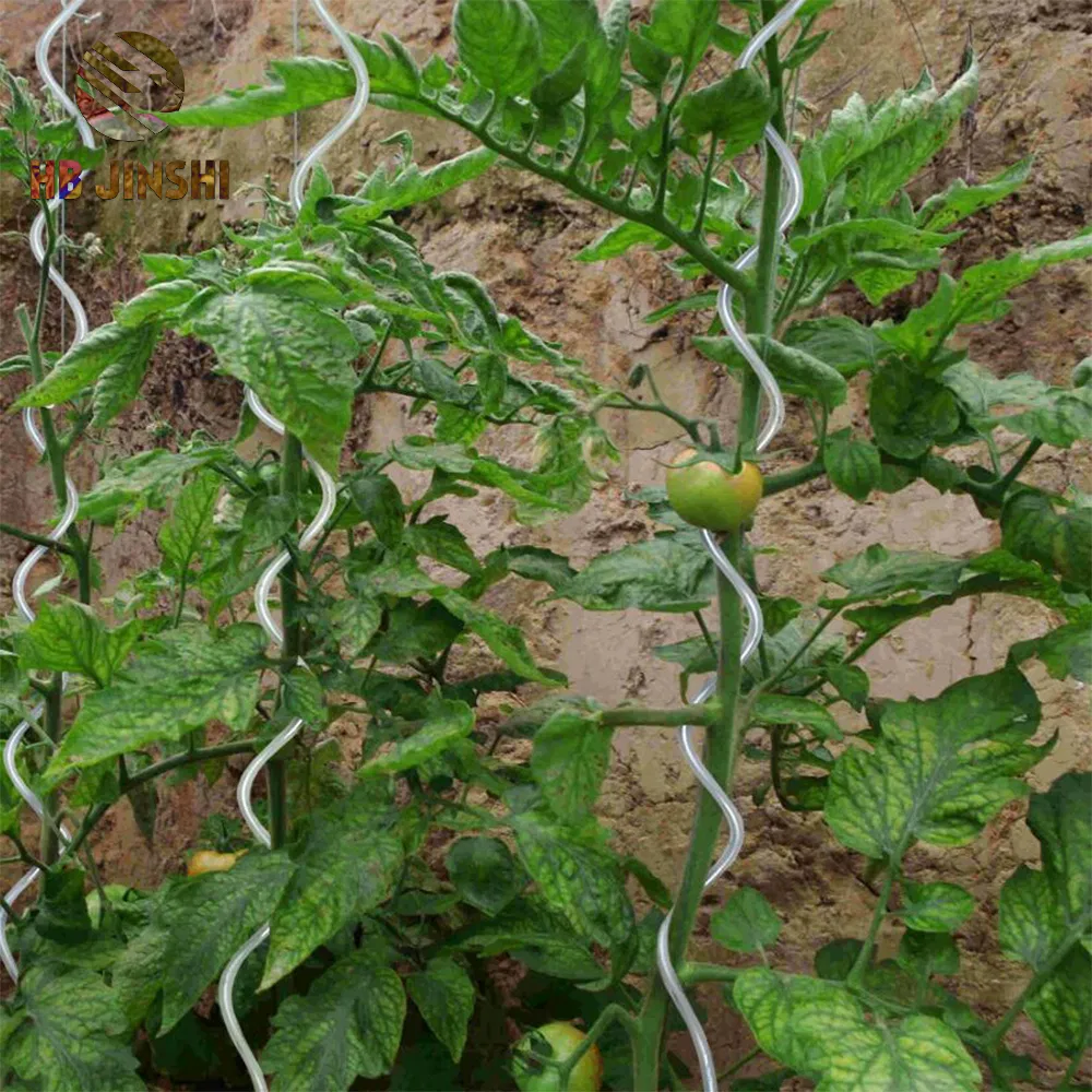 Tomato Spiral Plant Support