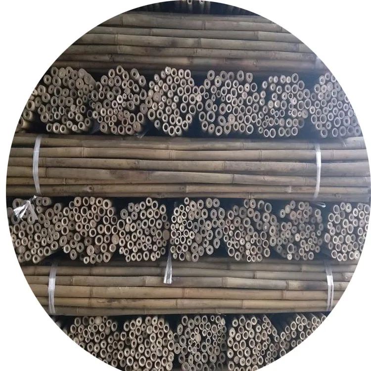 Tonkin Bamboo Stakes